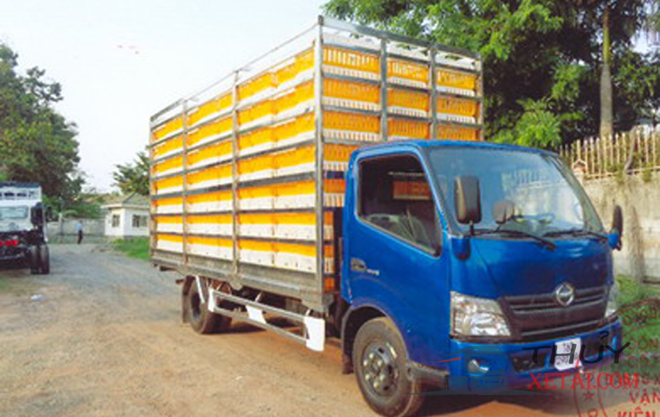 Xe tải Hino 5,2 tấn chở gia cầm