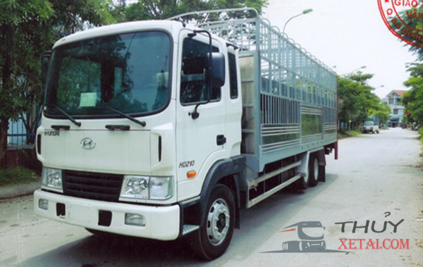Xe tải chở gia súc Hyundai 3 chân